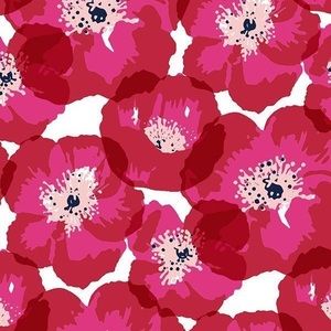 Meet your Posher, Logan